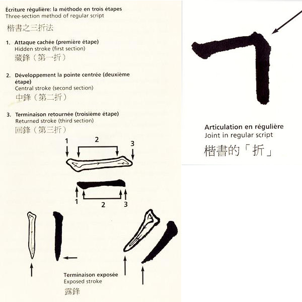 3-section-method-02-joint