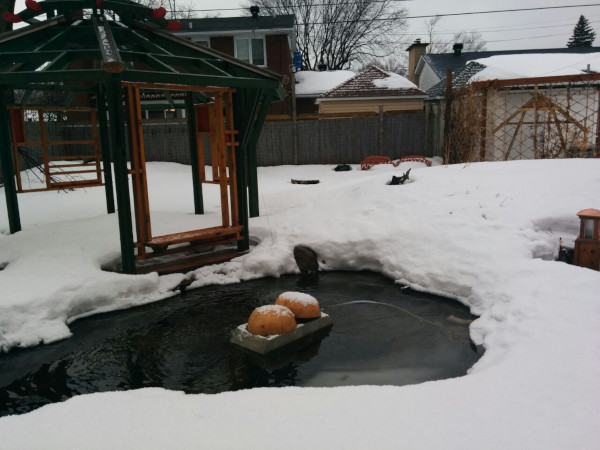 Jean-Yves Pelletier 築造 ~ 顏小梅園池之美