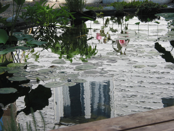 Jean-Yves Pelletier 築造 ~ 顏小梅園池之美