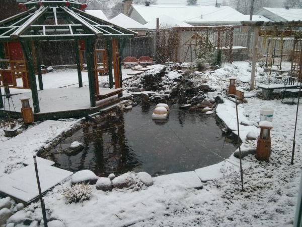 Jean-Yves Pelletier 築造 ~ 顏小梅園池之美