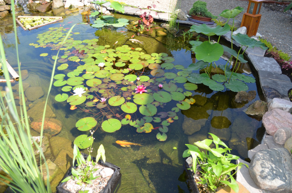 Jean-Yves Pelletier 築造 ~ 顏小梅園池之美