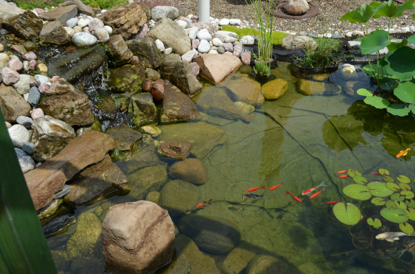 Jean-Yves Pelletier 築造 ~ 顏小梅園池之美