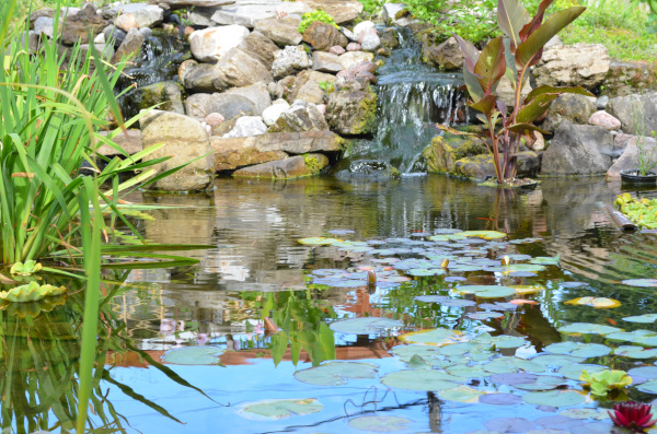 Jean-Yves Pelletier 築造 ~ 顏小梅園池之美