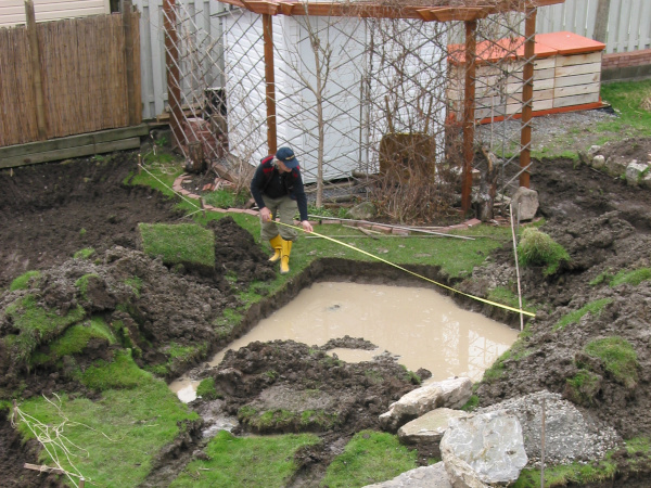 Ngan Siu Mui's Garden Pond, Construction Plan by Jean-Yves Pelletier, 2011
