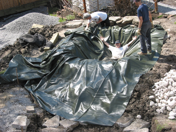 Ngan Siu Mui's Garden Pond, Construction Plan by Jean-Yves Pelletier, 2011