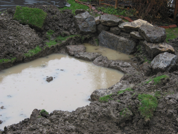 Ngan Siu Mui's Garden Pond, Construction Plan by Jean-Yves Pelletier, 2011