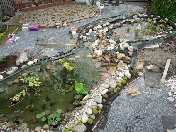 Ngan Siu Mui Garden Pond, Designing and Finishing Construction by Jean-Yves Pelletier, 2011