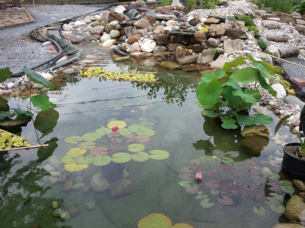 Ngan Siu Mui Garden Pond, Designing and Finishing Construction by Jean-Yves Pelletier, 2011