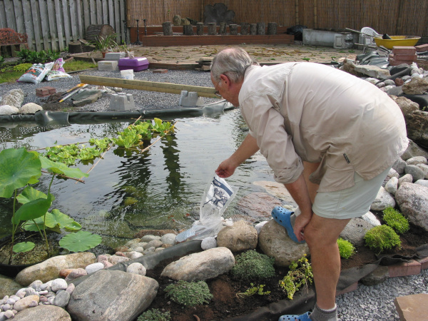 Ngan Siu Mui Garden Pond, Designing and Finishing Construction by Jean-Yves Pelletier, 2011